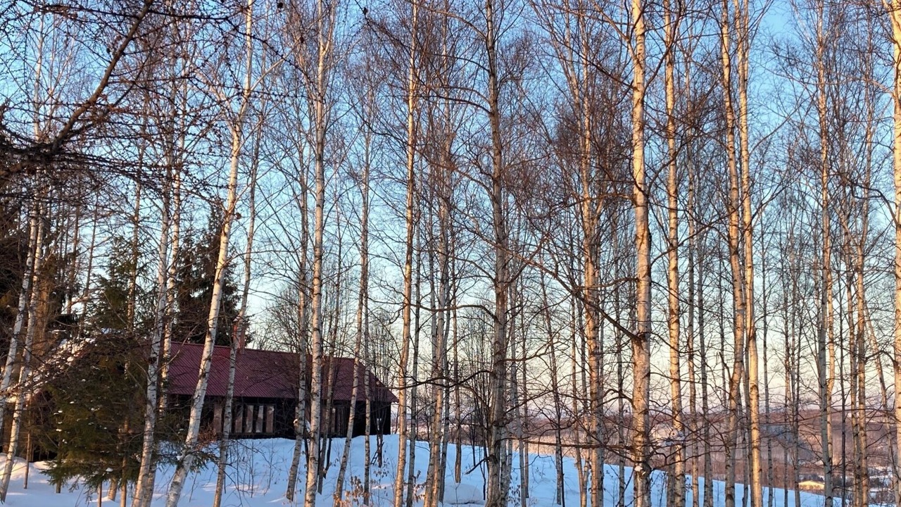 Photo of Others in Biei
