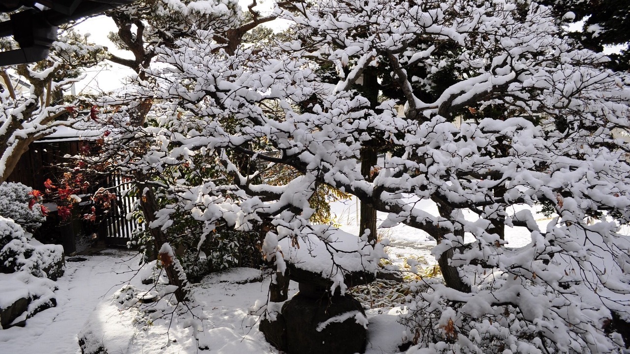 Photo of Others in Nagano