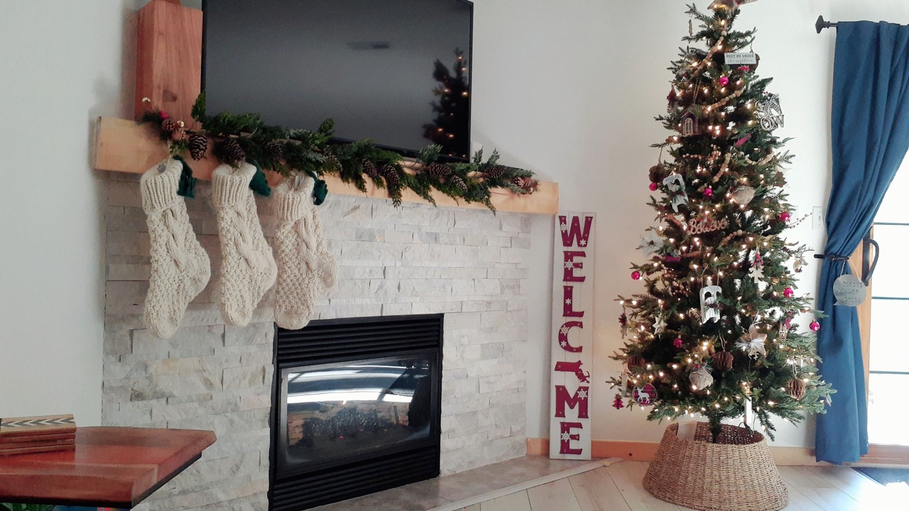 Photo of Livingroom in Oglesby