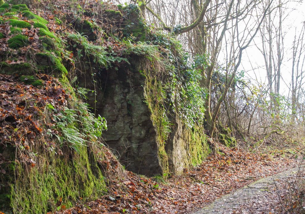 Photo of Others in Traben-Trarbach