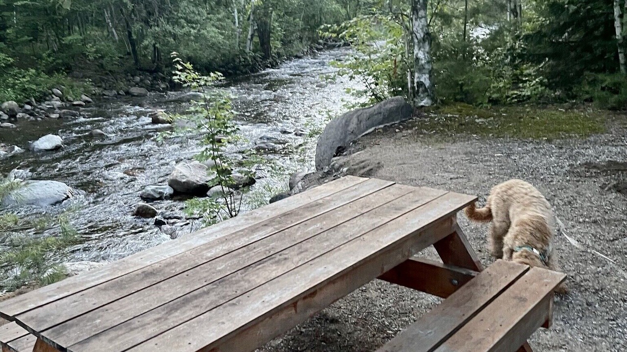 Photo of Outdoor in Stark