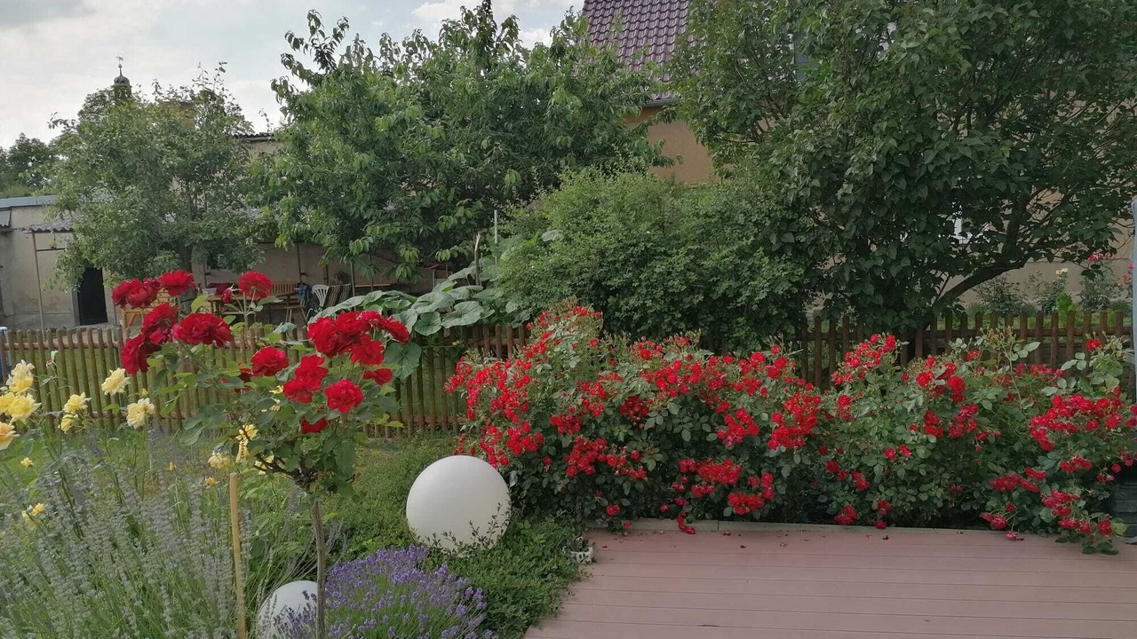 Photo of Outdoor in Grossposna
