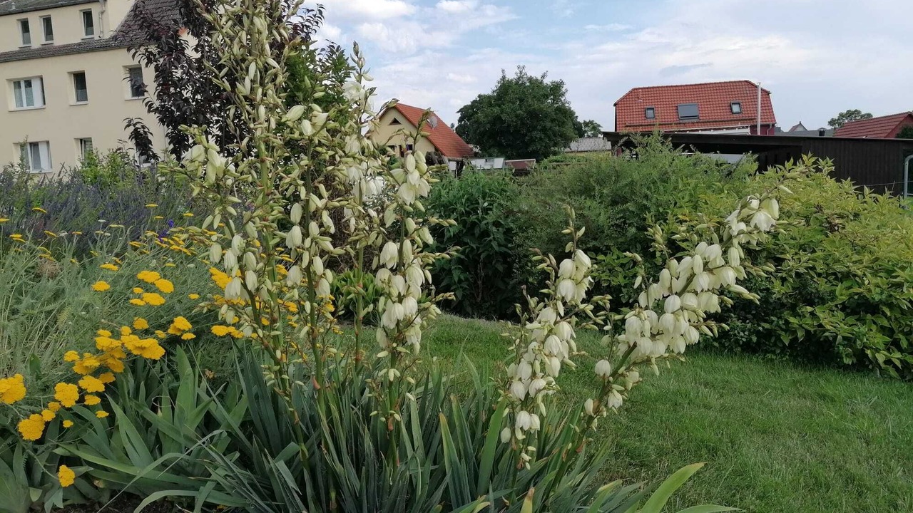 Photo of Outdoor in Grossposna