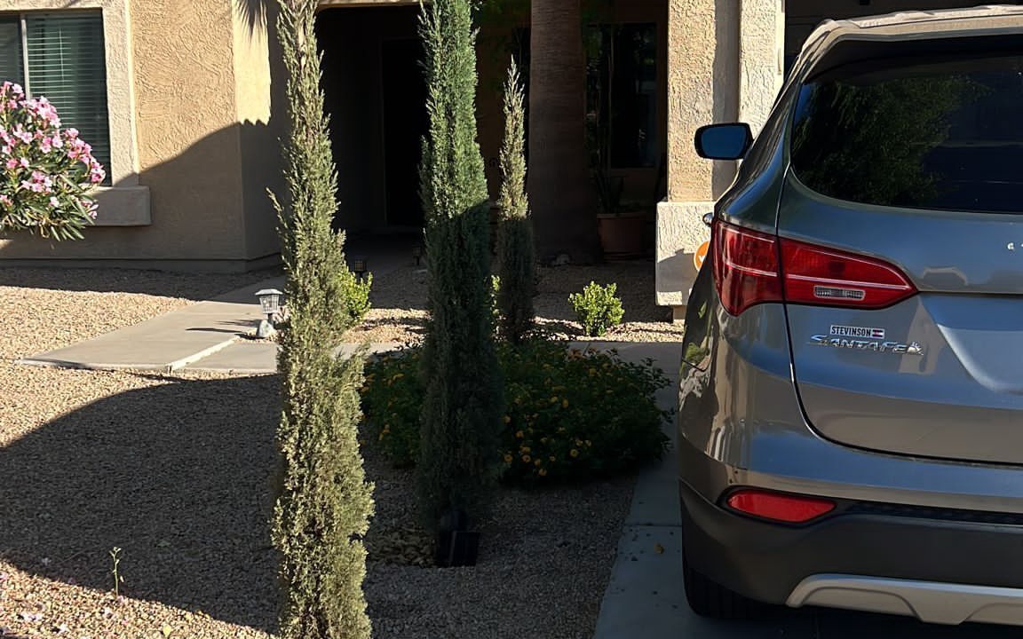 Photo of Outdoor in El Mirage