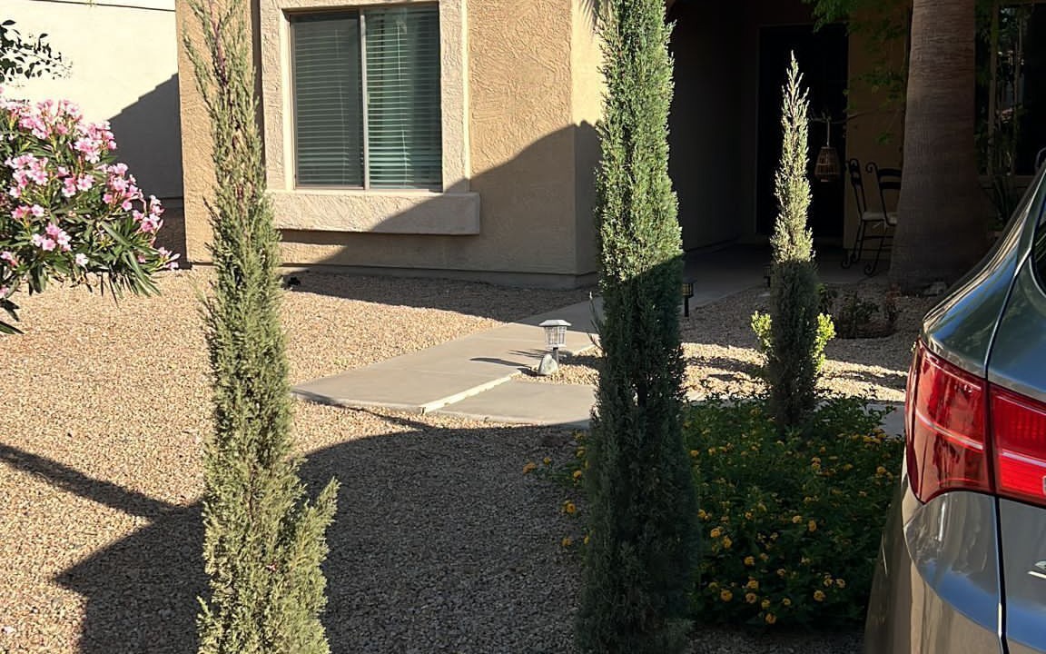 Photo of Outdoor in El Mirage