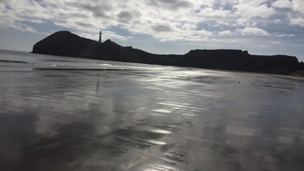 Photo of Others in Castlepoint