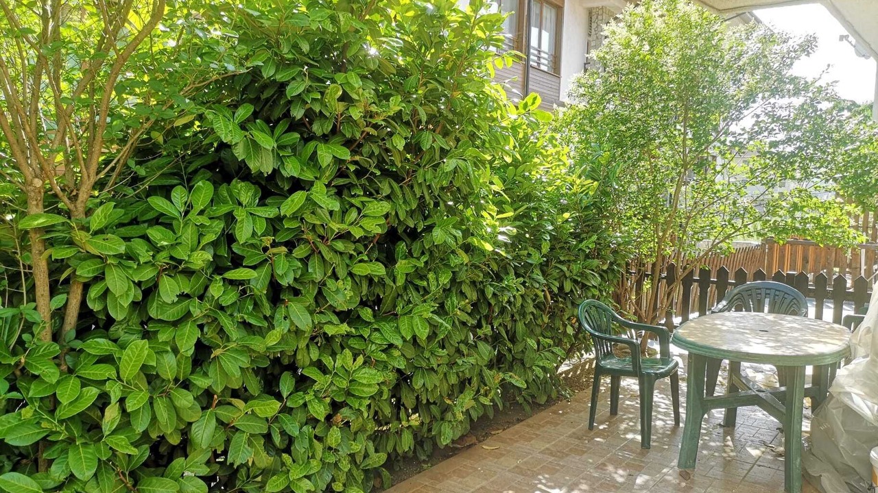 Photo of Outdoor in Sveti Vlas