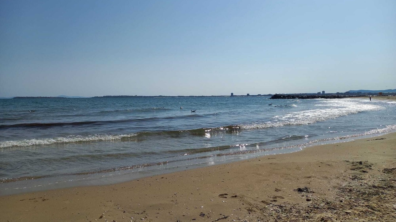 Photo of Others in Sveti Vlas