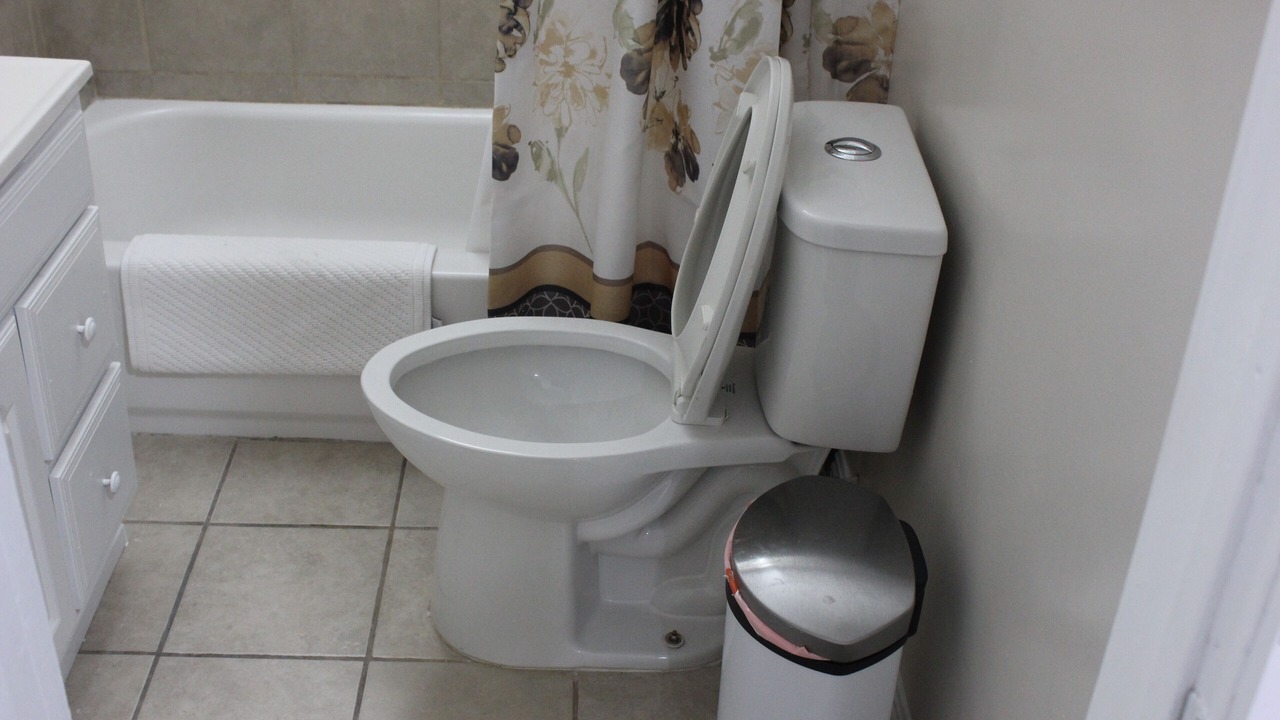 Photo of Bathroom in Pacoima