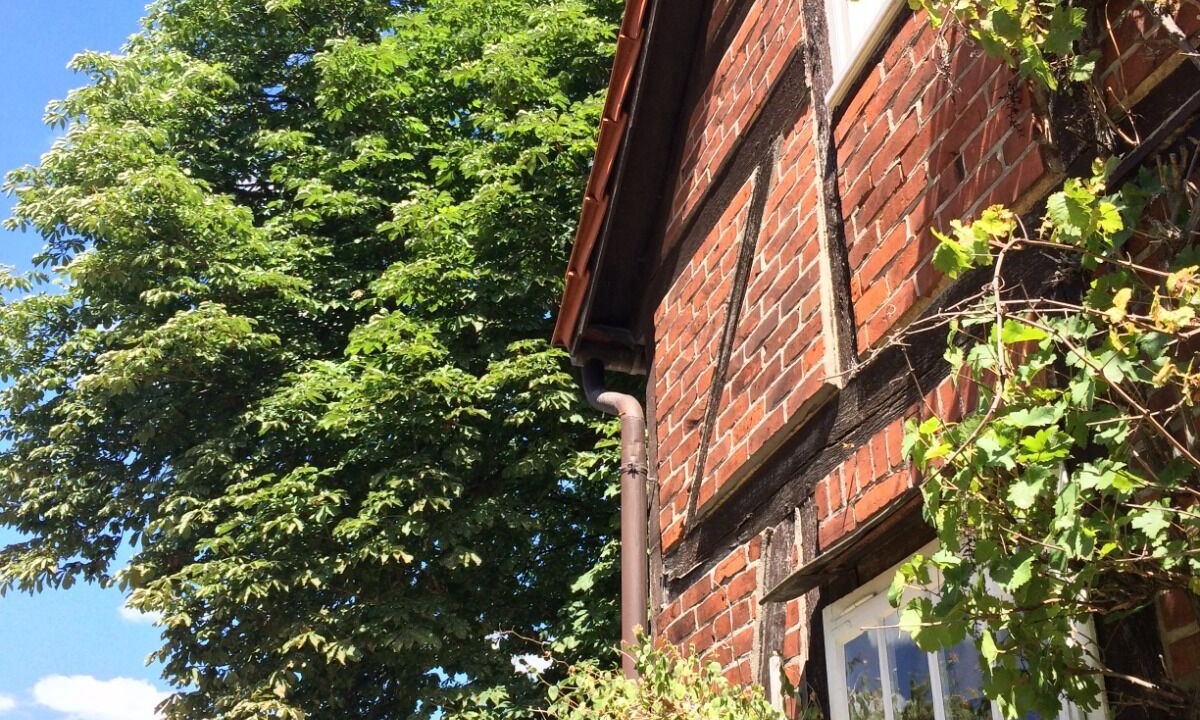 Photo of Outdoor in Dannenberg