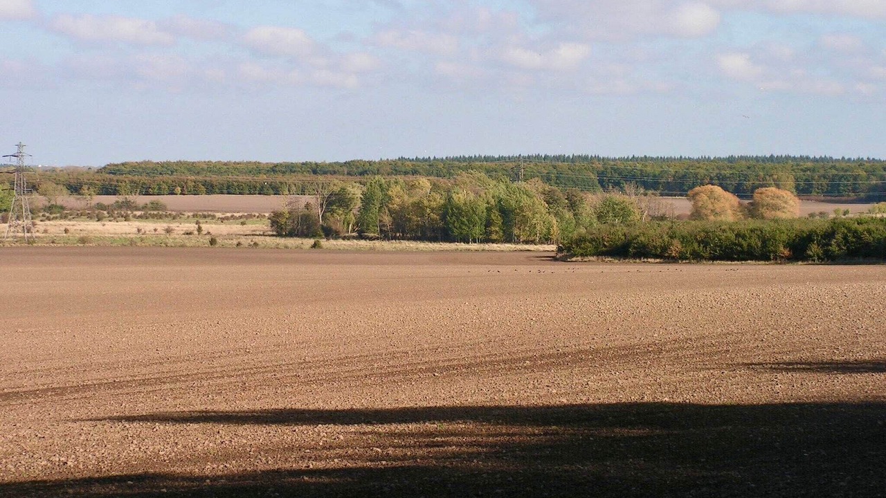 Photo of Others in Hoje Taastrup