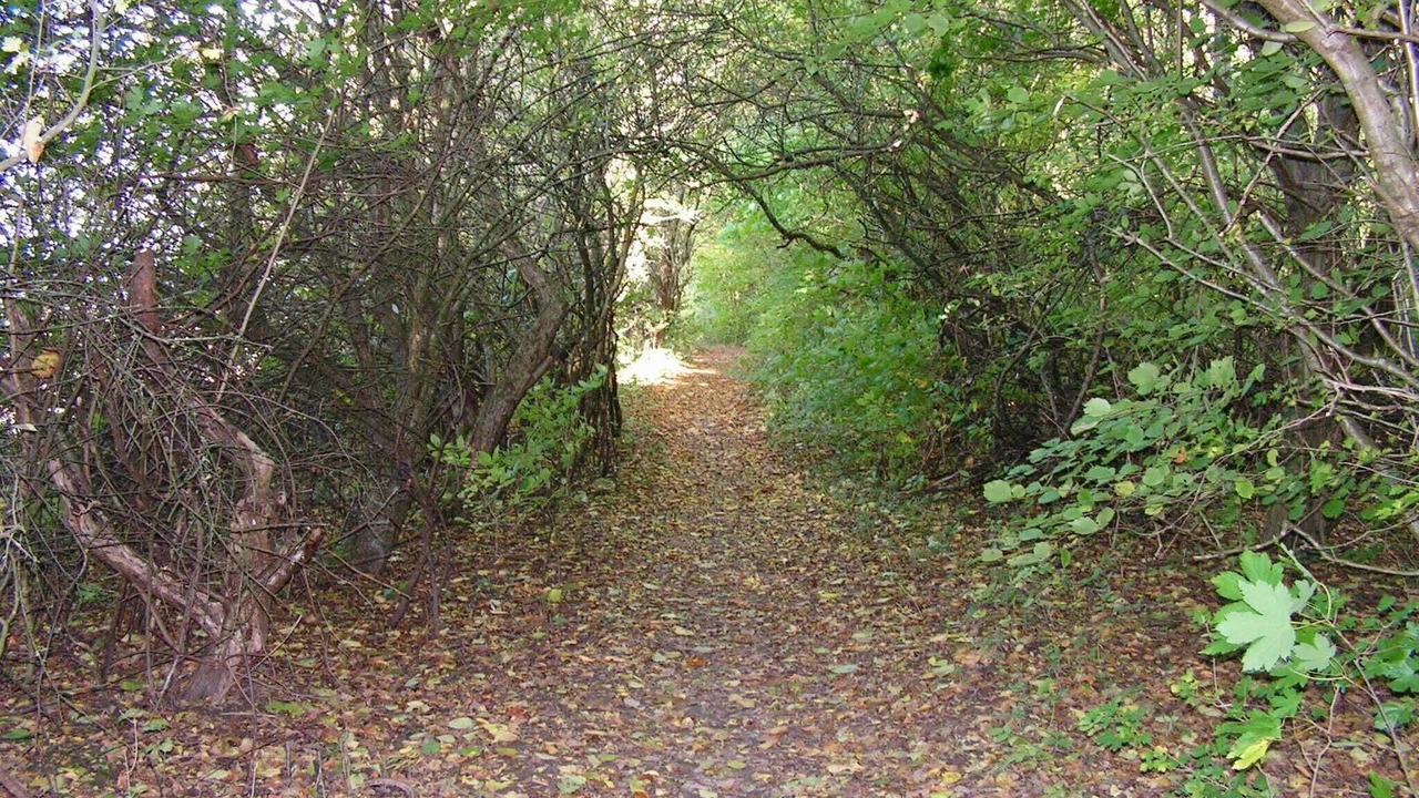 Photo of Others in Hoje Taastrup