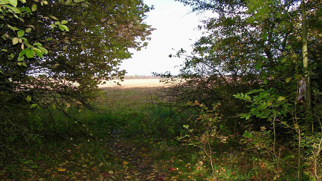 Photo of Others in Hoje Taastrup