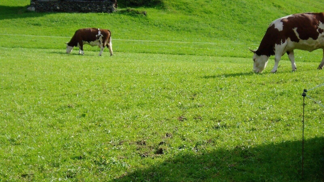 Photo of Others in Stummerberg
