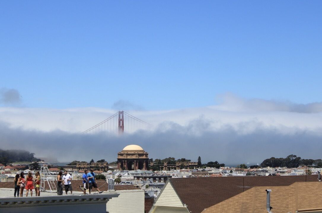 Photo of Others in Cow Hollow