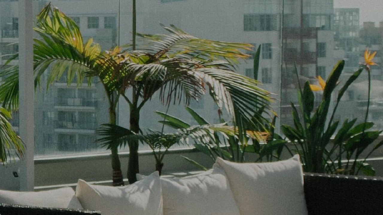 Photo of Outdoor in San Bruno