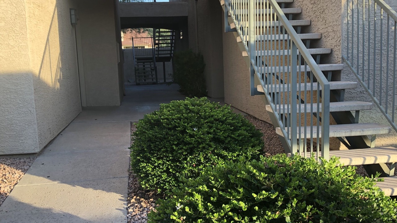 Photo of Outdoor in Foothills