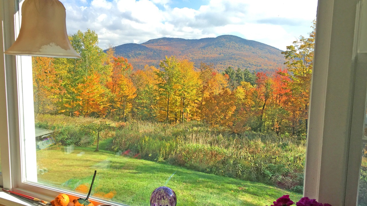 Photo of Others in Chittenden