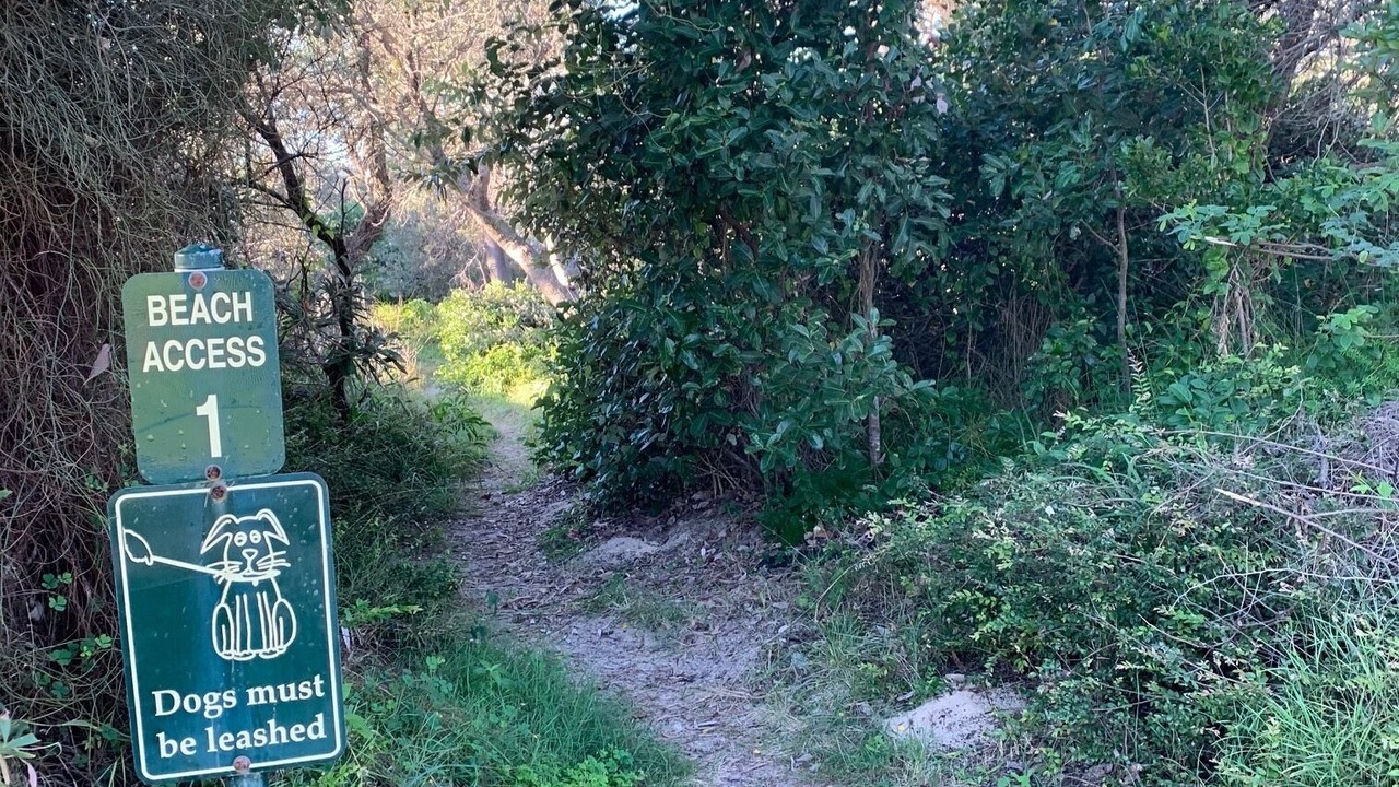 Photo of Others in Noosa North Shore