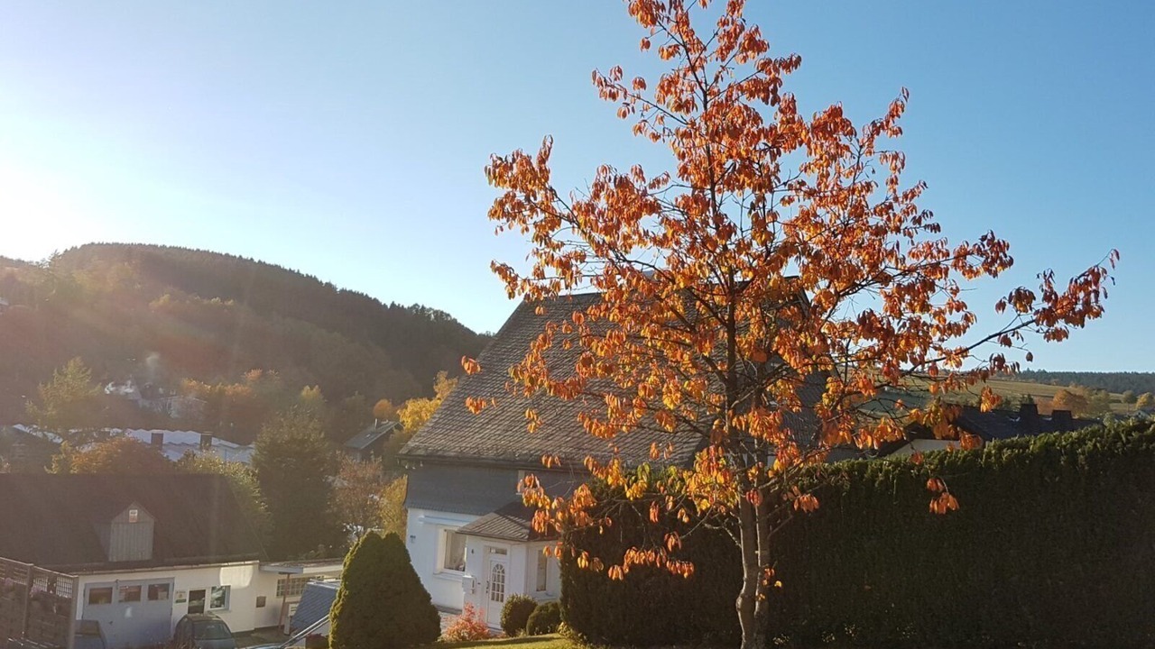 Photo of Outdoor in Groenebach