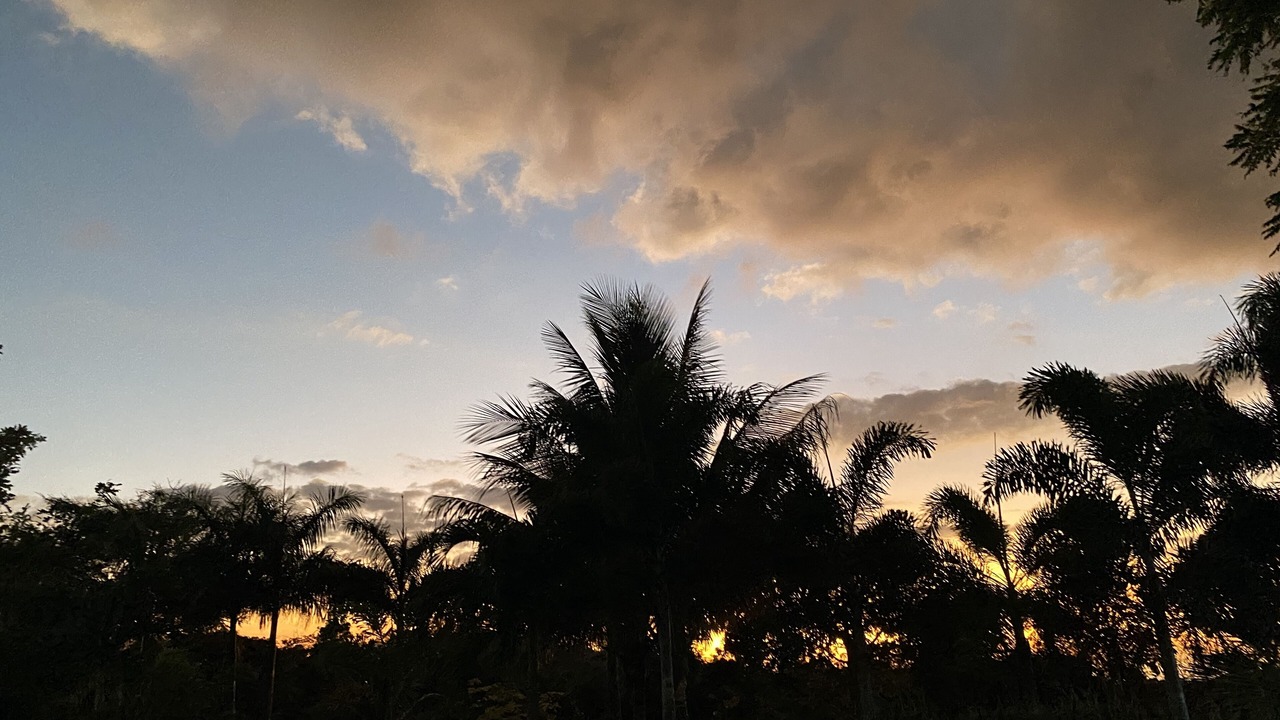 Photo of Others in Lucea