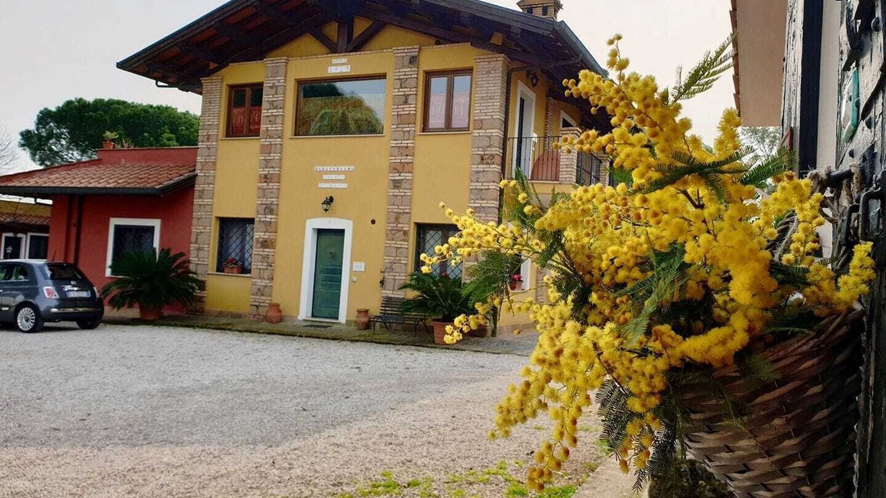 Photo of Outdoor in Zona XXVI Castel di Decima