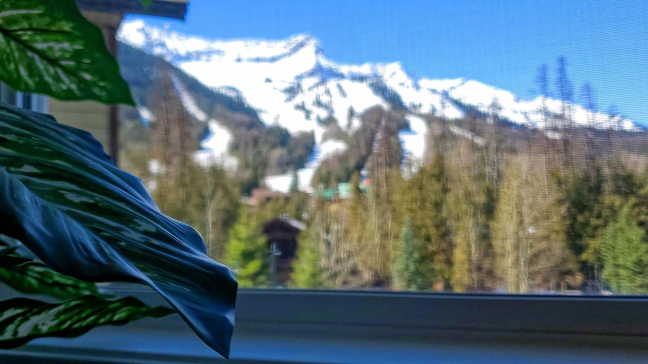 Photo of Bedroom in East Kootenay