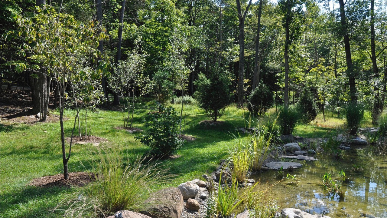Photo of Outdoor in Mount Marion