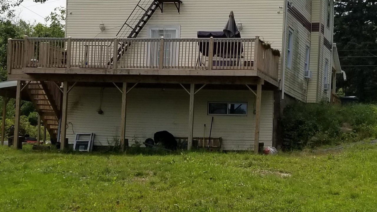 Photo of Outdoor in Parksville