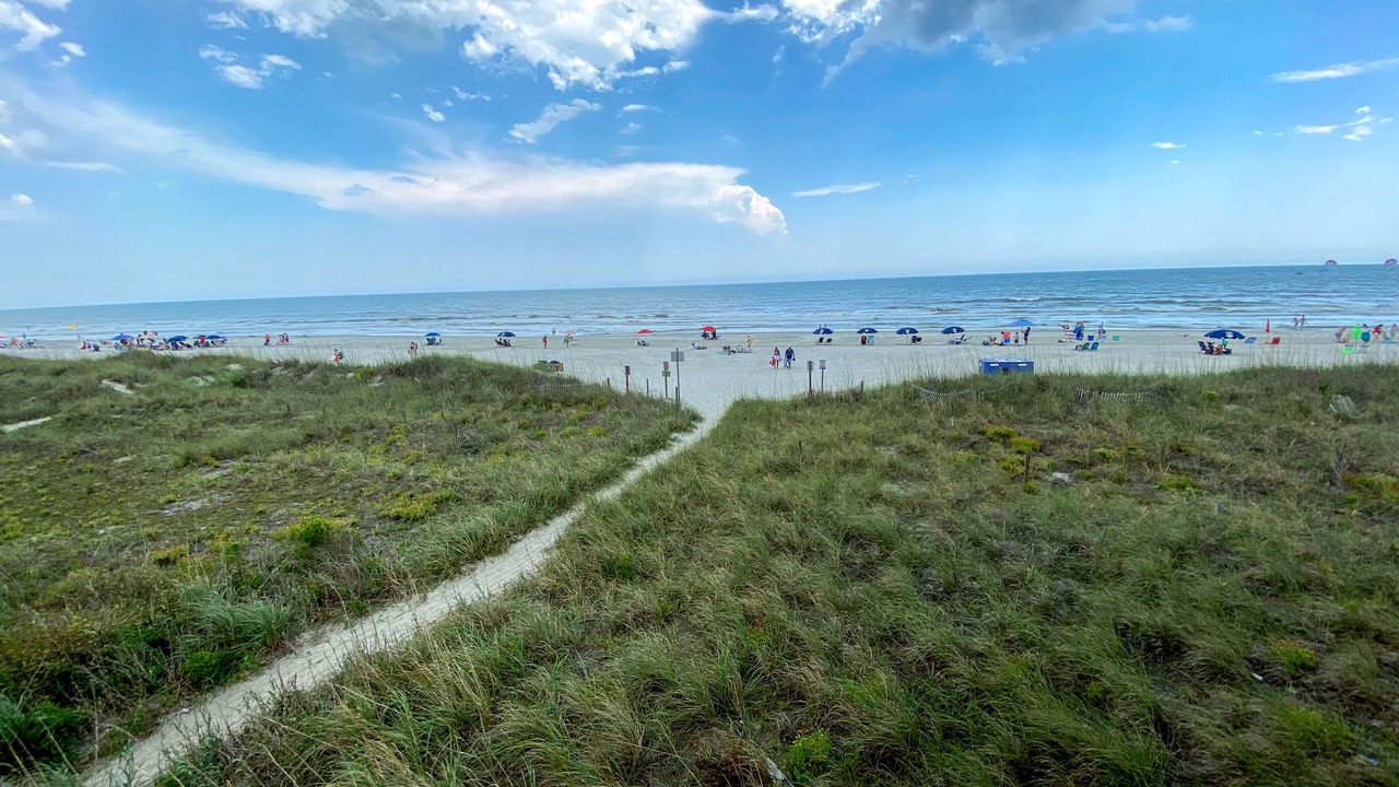 Photo of Others in Crescent Beach