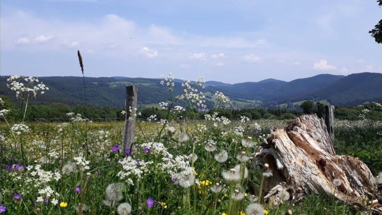 Photo of Outdoor in Zueschen