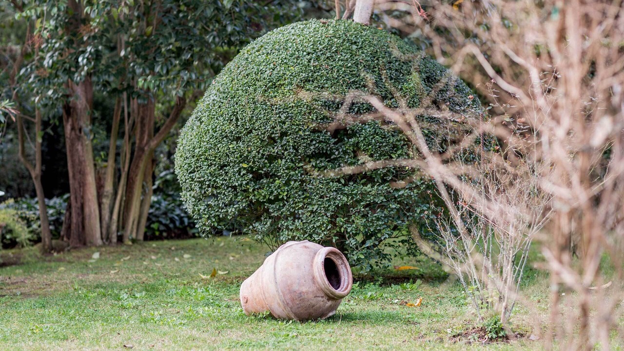 Photo of Outdoor in Colleverde