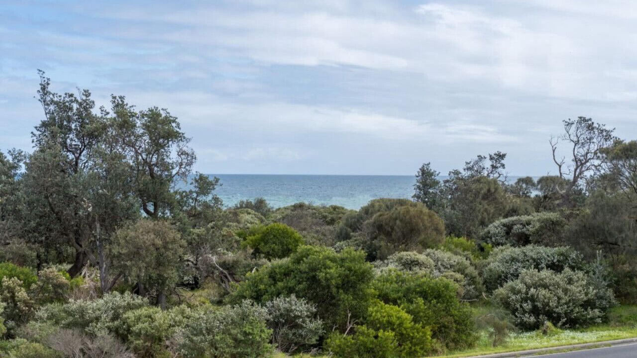 Photo of Others in Seaford