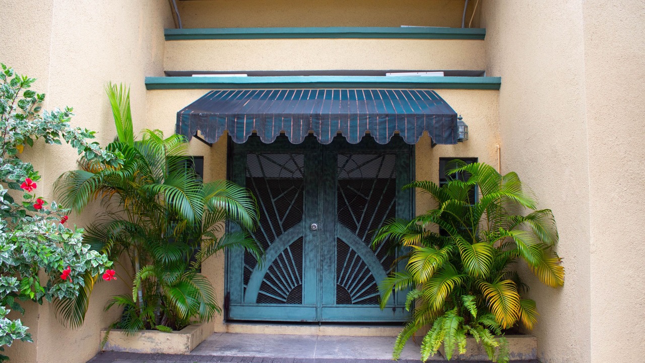 Photo of Outdoor in Saint Andrew