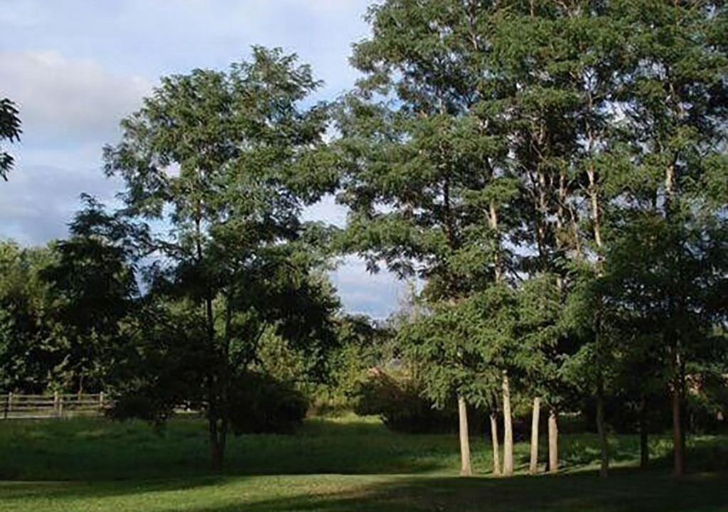Photo of Outdoor in Stuyvesant