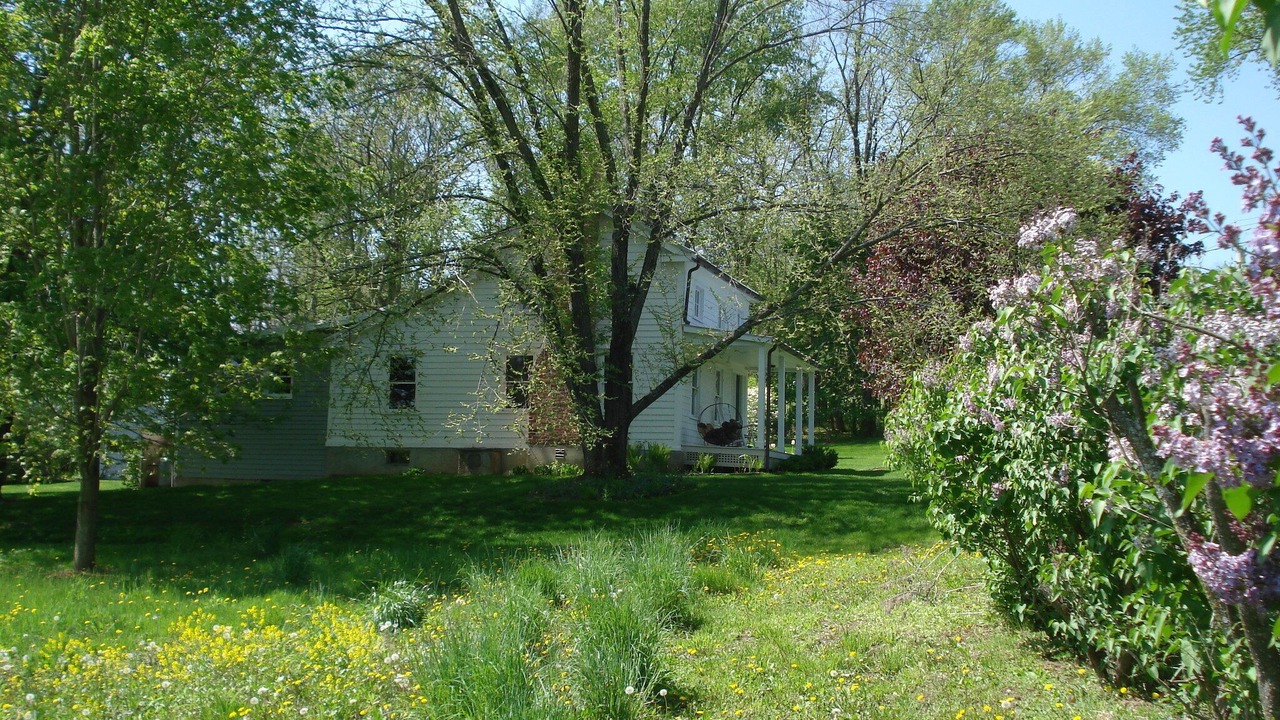 Photo of Outdoor in Stuyvesant