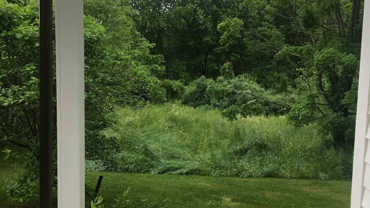 Photo of Outdoor in Stuyvesant