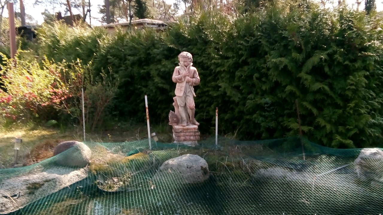 Photo of Outdoor in Waldesruh