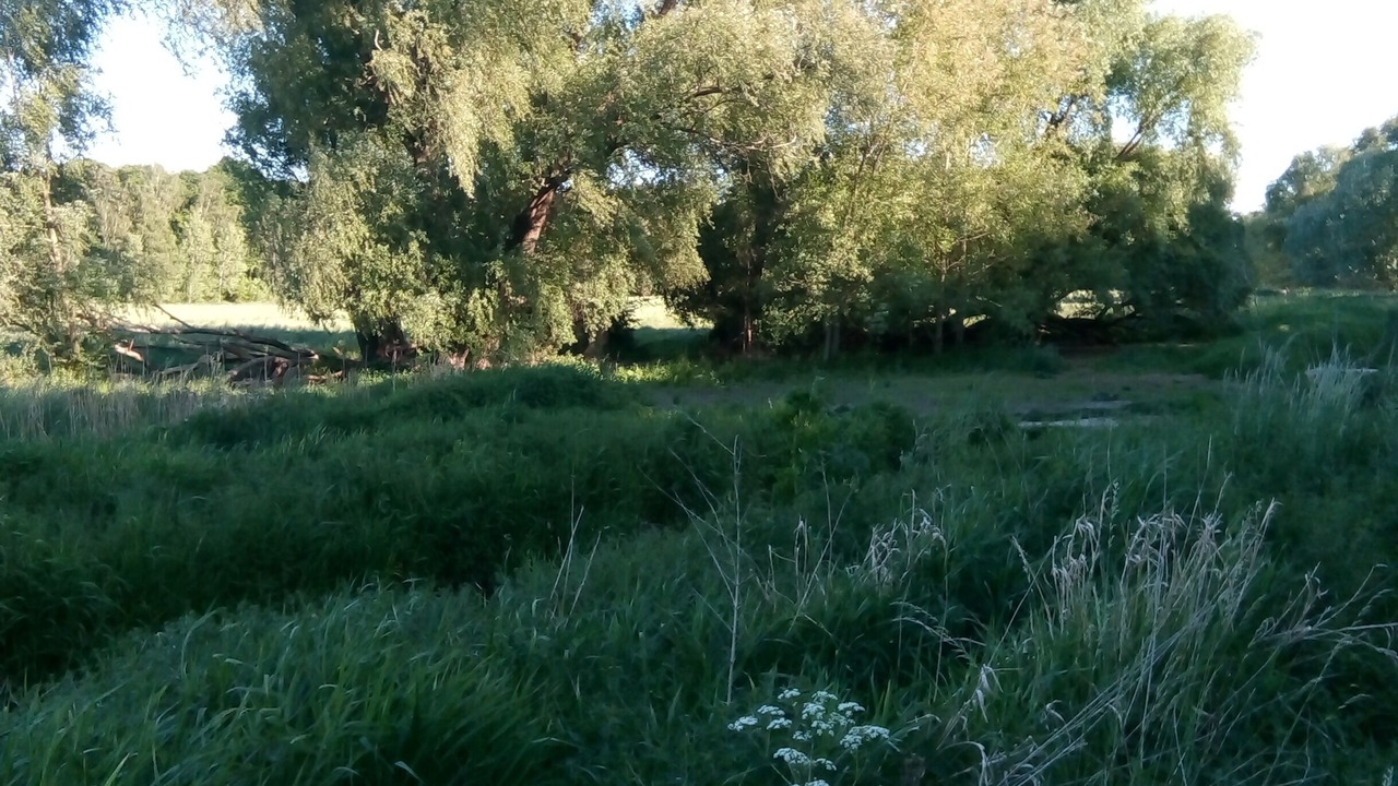 Photo of Outdoor in Waldesruh