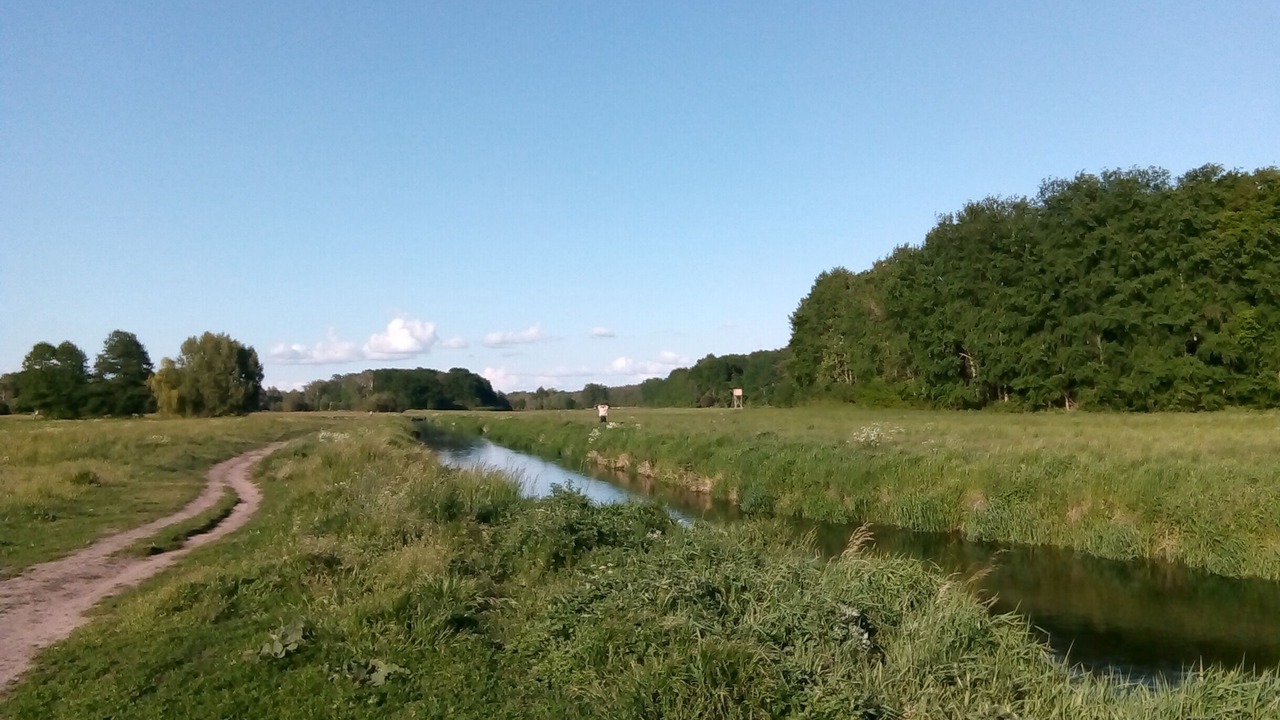 Photo of Outdoor in Waldesruh