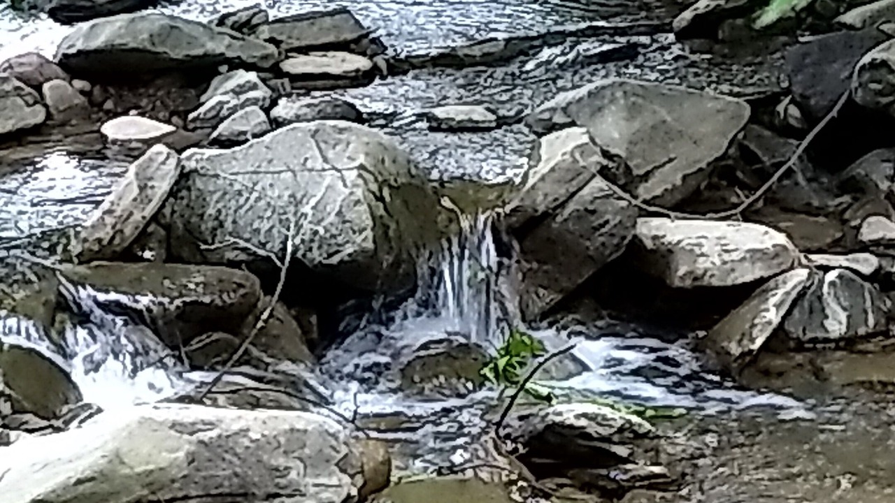 Photo of Others in Callicoon