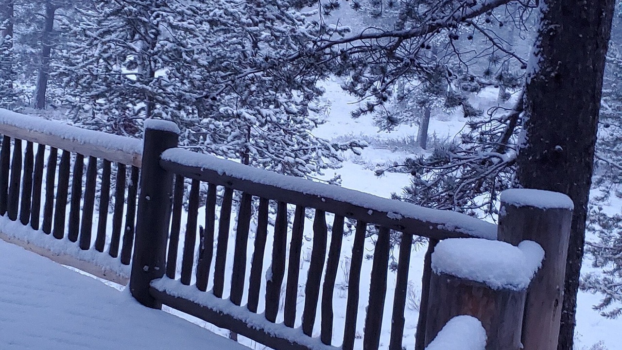 Photo of Outdoor in Deer Park