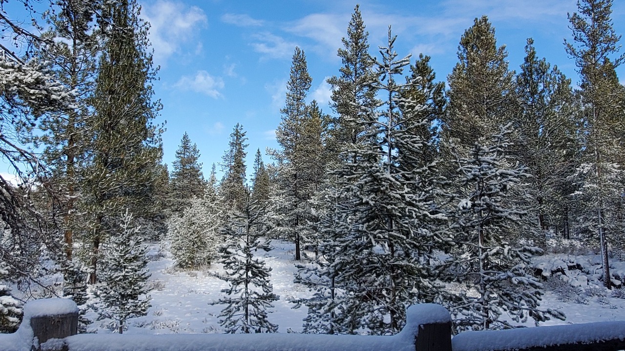 Photo of Outdoor in Deer Park