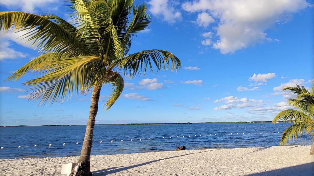 Photo of Others in Key Largo Village