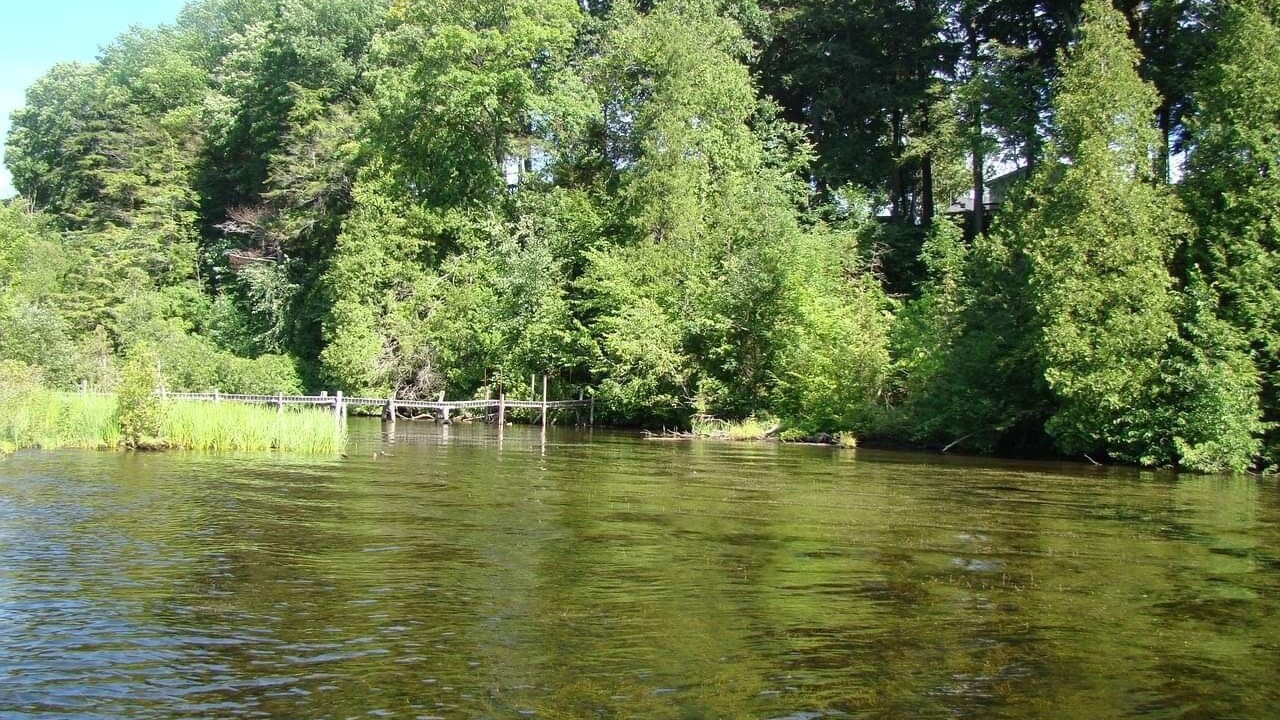 Photo of Outdoor in Newaygo