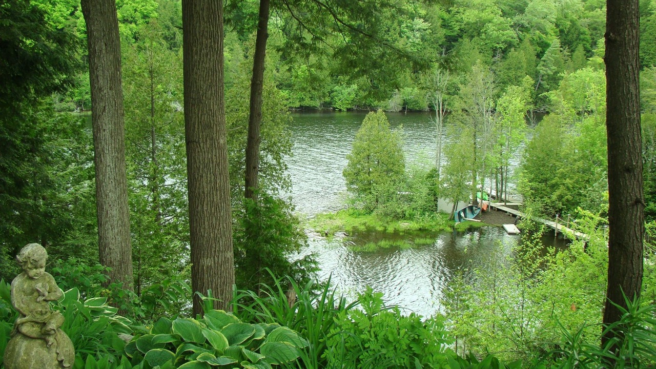 Photo of Outdoor in Newaygo