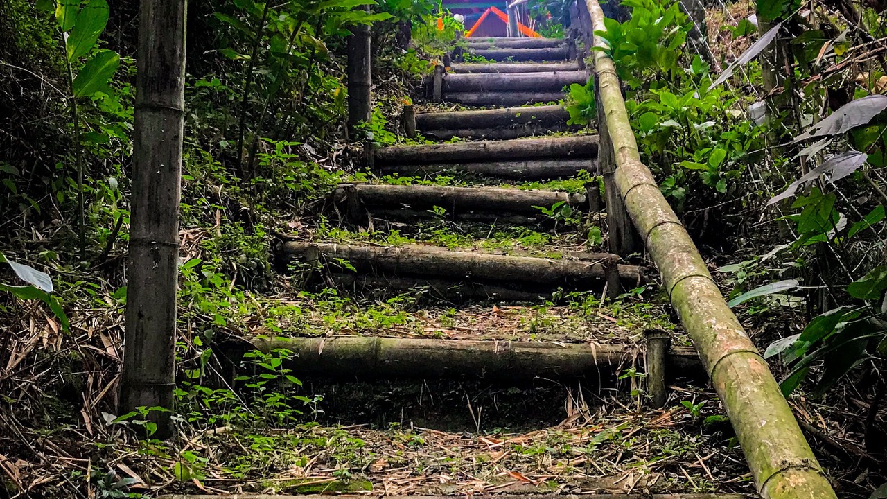 Photo of Outdoor in Pereira