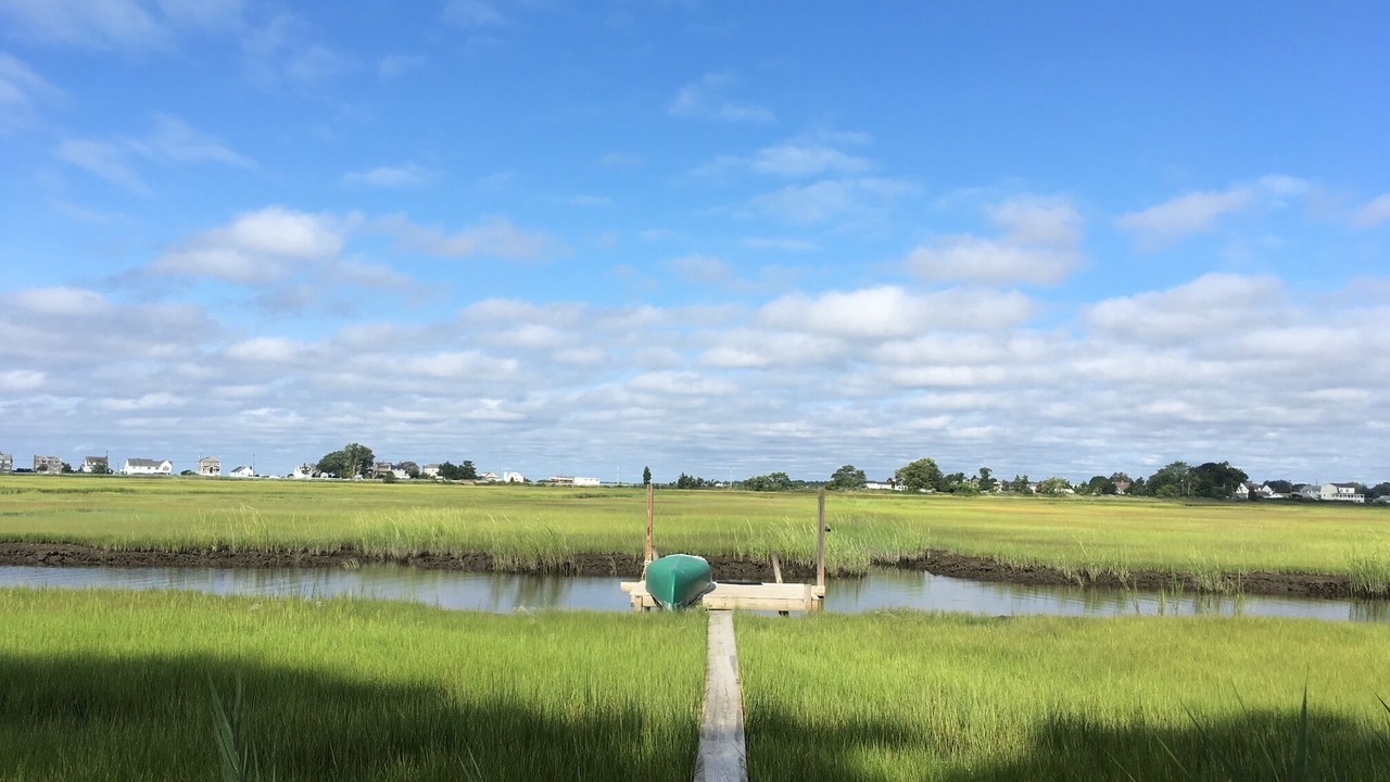 Photo of Others in Old Saybrook