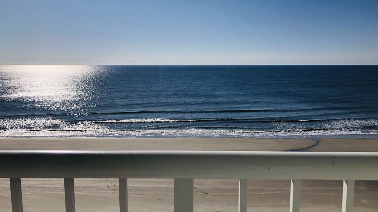 Photo of Others in Arcadian Shores