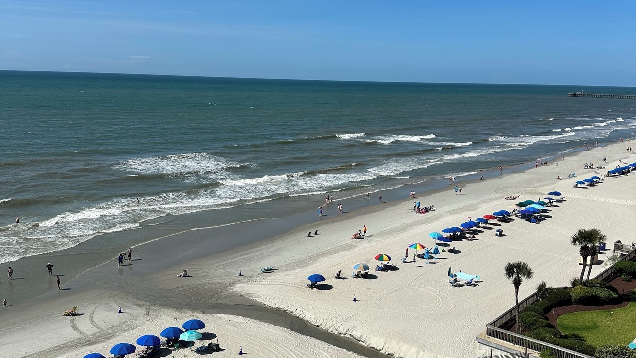 Photo of Others in Arcadian Shores